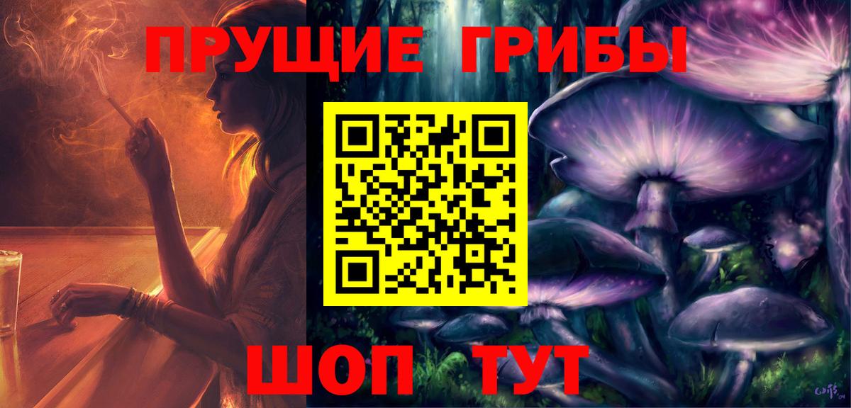 Галлюциногенные грибы MAGIC MUSHROOMS  Вход с VPN  Псилоцибиновые грибы прущие грибы  закладка  Дятьково 