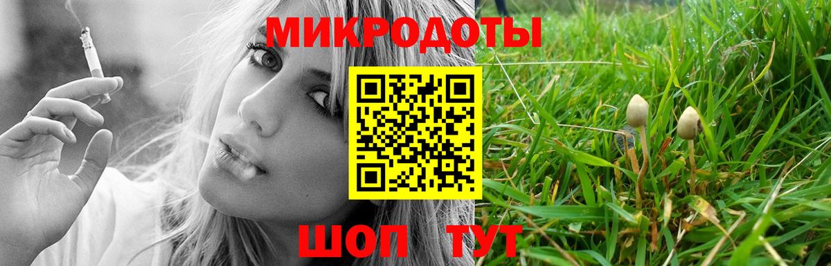 Галлюциногенные грибы Cubensis Дятьково